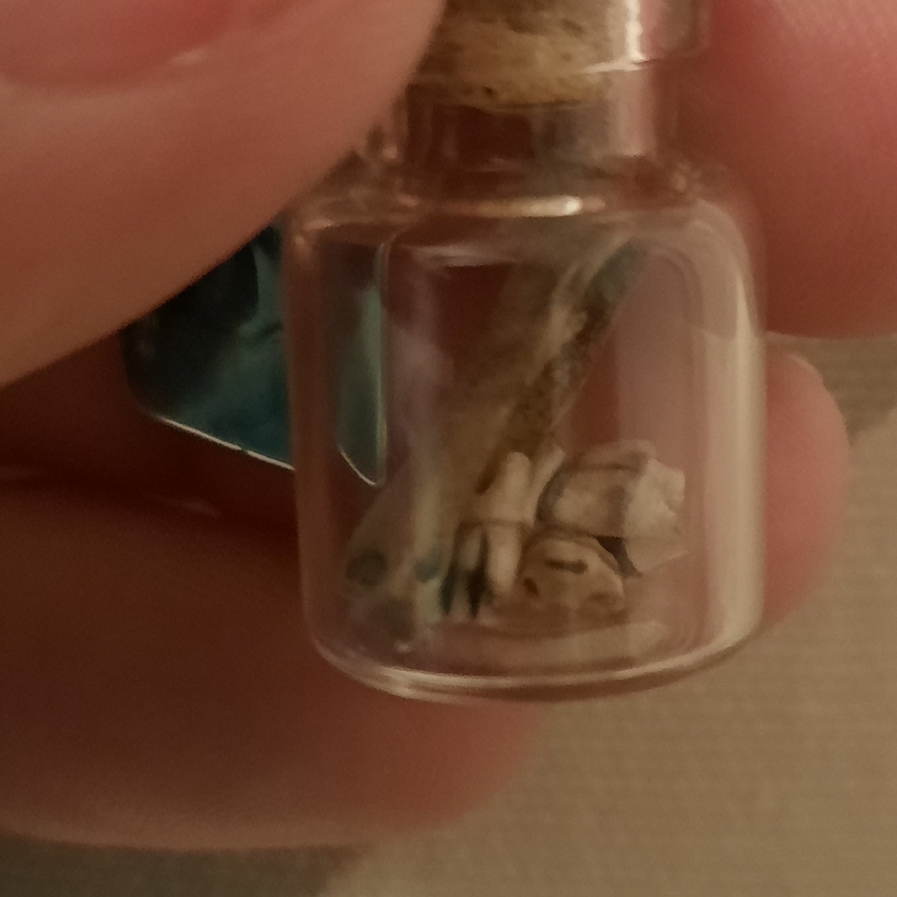 One-of-a-kind Rat Bone Necklace - Picture 3 of 7